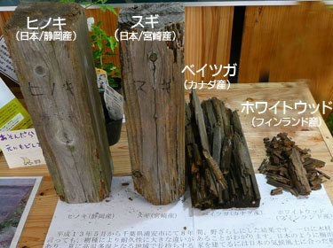 No.00022 木材種類001