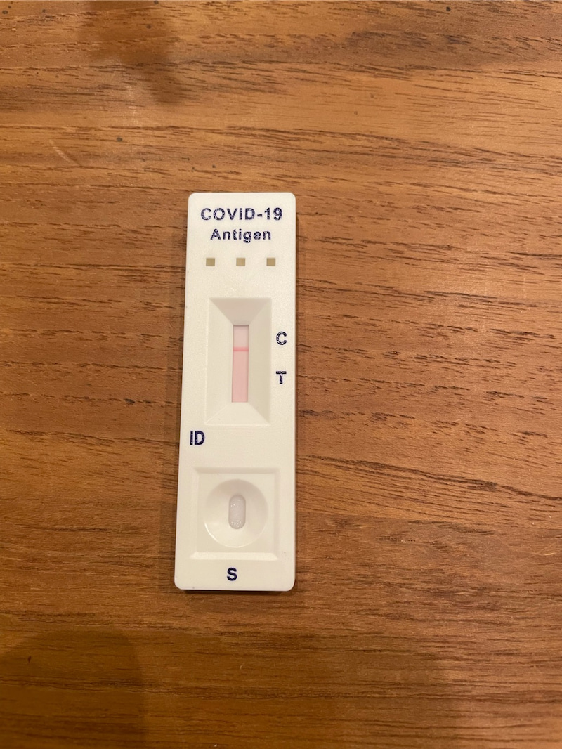 No.00046 木材種類002